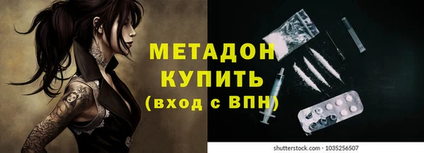 стаф Алексин