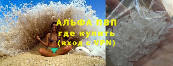 стаф Алексин